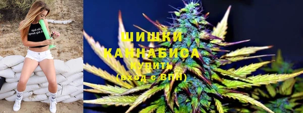 сатива Абаза