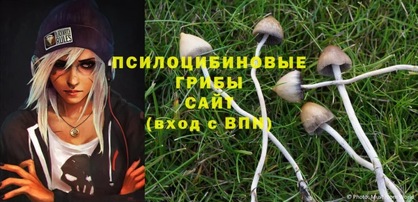 сатива Абаза